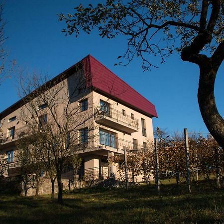 Hotel Panoramic Baia Sprie Exterior foto