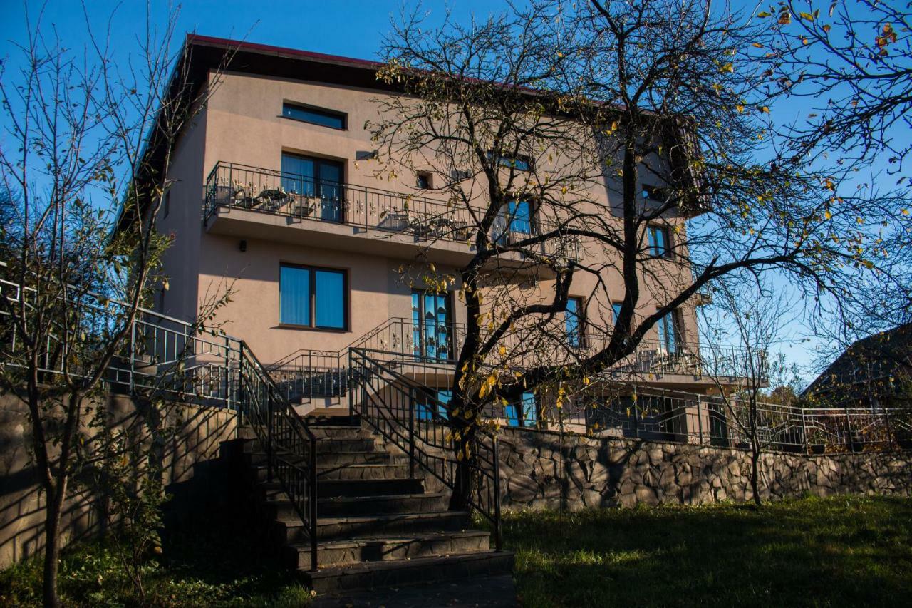 Hotel Panoramic Baia Sprie Exterior foto