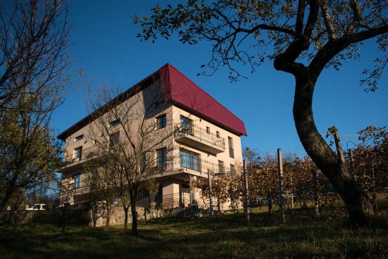 Hotel Panoramic Baia Sprie Exterior foto
